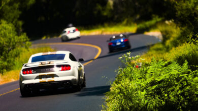 Performance cars on scenic road