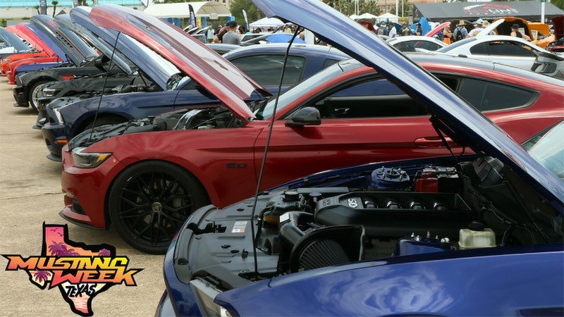 Row of Mustangs with open hoods