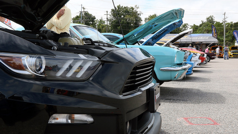Row of Mustang cars with hoods open