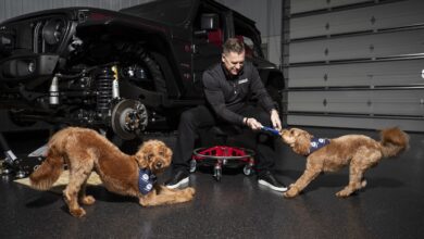 man plays with dogs with mopaw pet accessories on garage floor in front of jeep with front wheel off