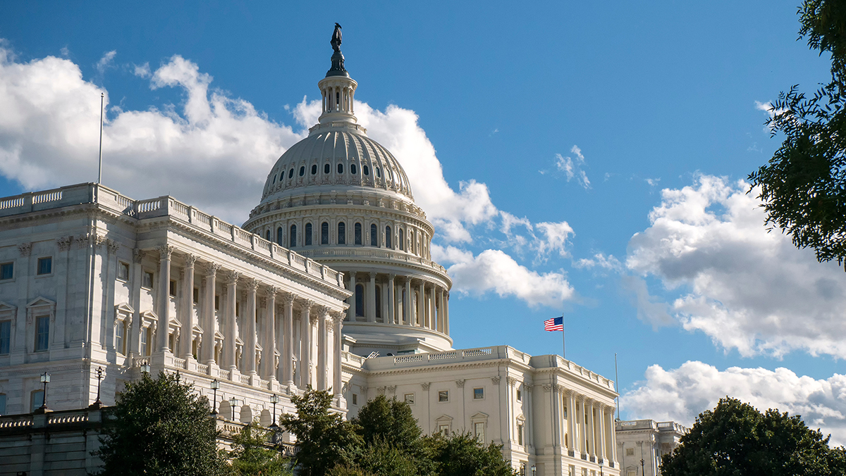 U.S. Capitol; Washington, D.C.