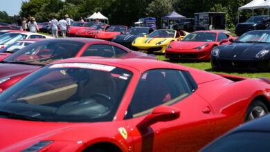 A field full of Ferraris