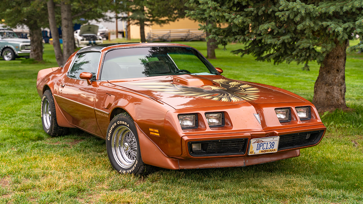 1978 Pontiac Firebird at the car show.